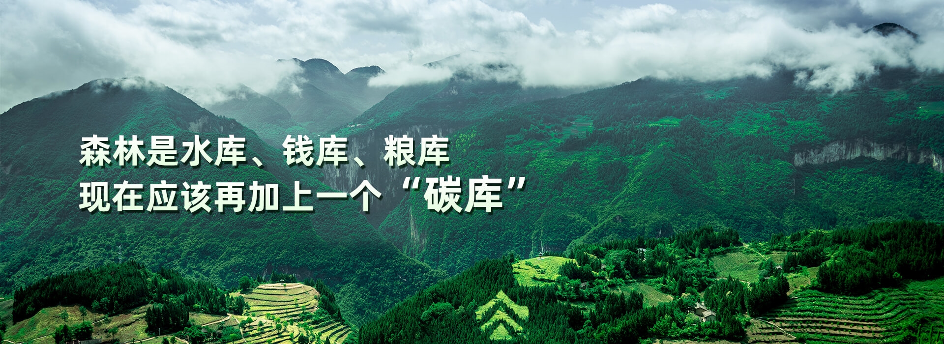 cq9电子大厅