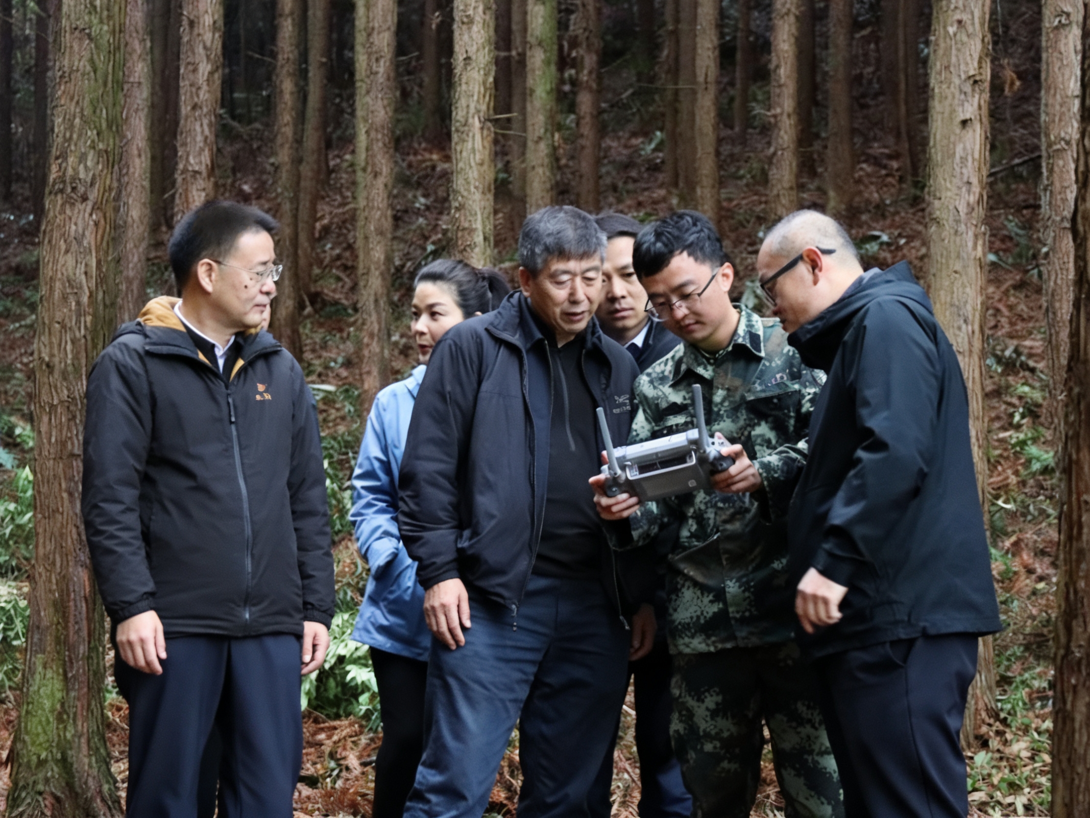 cq9电子大厅