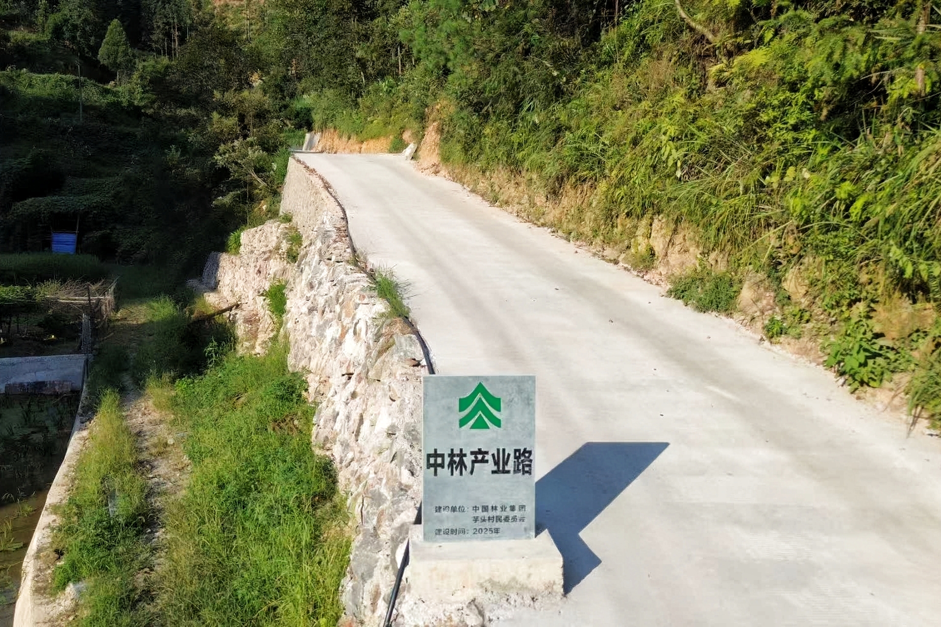cq9电子大厅