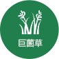 cq9电子大厅