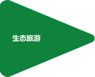 cq9电子大厅