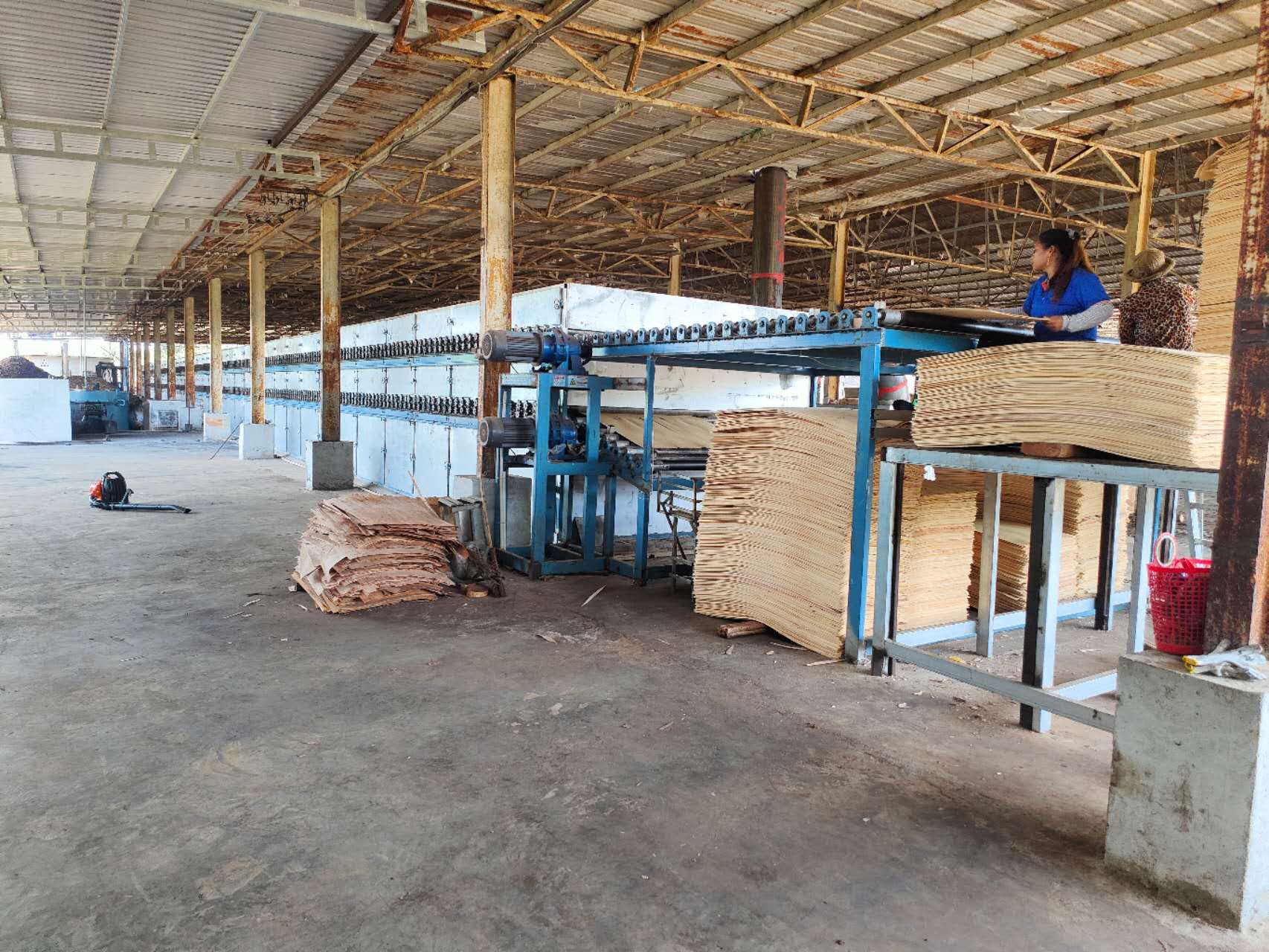 相思木木皮烘干设备