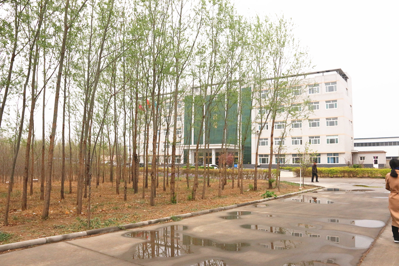 cq9电子大厅园区一角