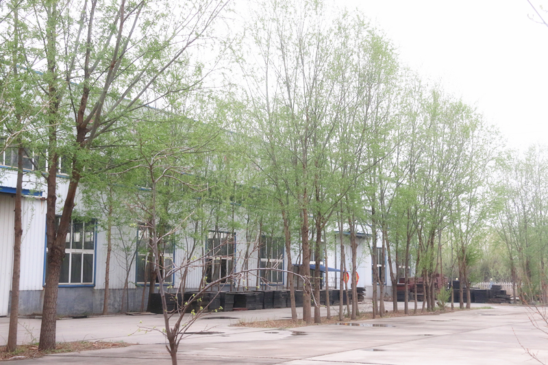 cq9电子大厅园区一角