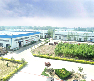 cq9电子大厅实景