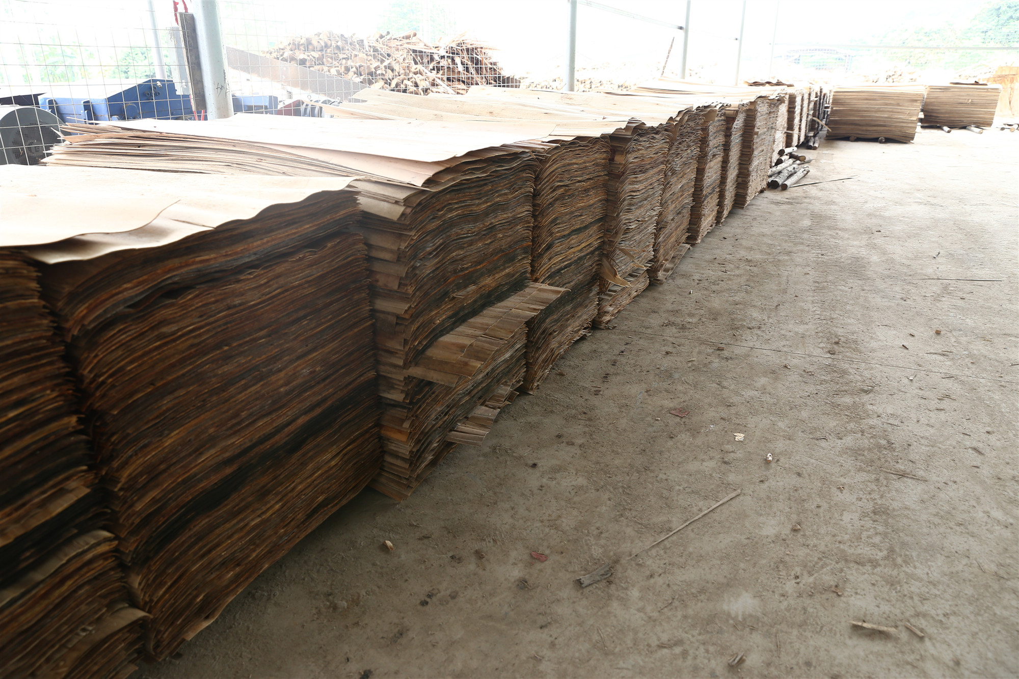 单板烘干机 单板烘干机