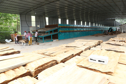 木材烘干机 木材烘干机