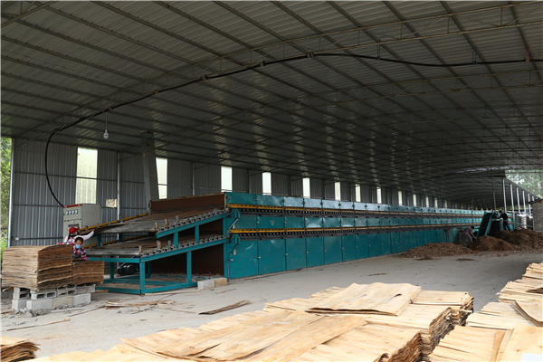 单板烘干机 单板烘干机