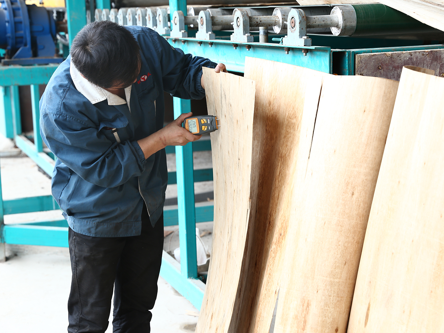 单板烘干机 单板烘干机