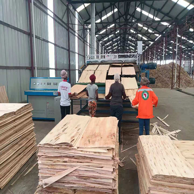 单板烘干机 单板烘干机