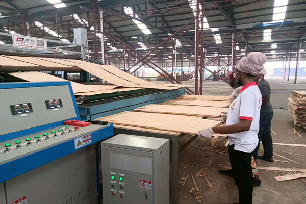 木材烘干机 木材烘干机