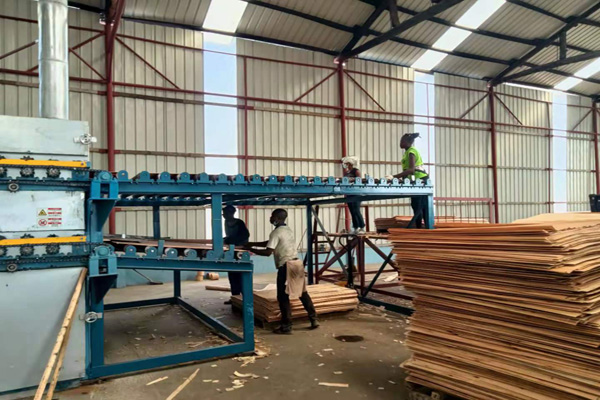 单板烘干机 单板烘干机