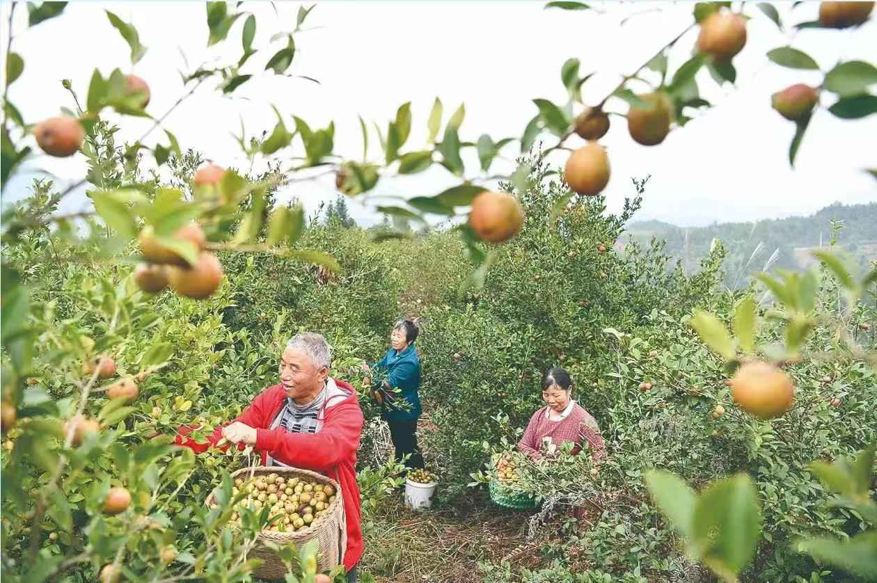 cq9电子大厅