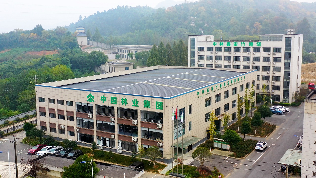 cq9电子大厅