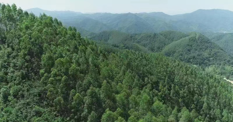 cq9电子大厅