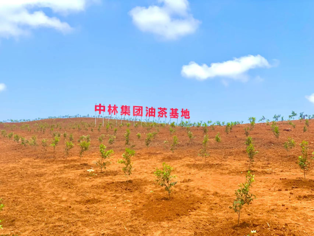 cq9电子大厅