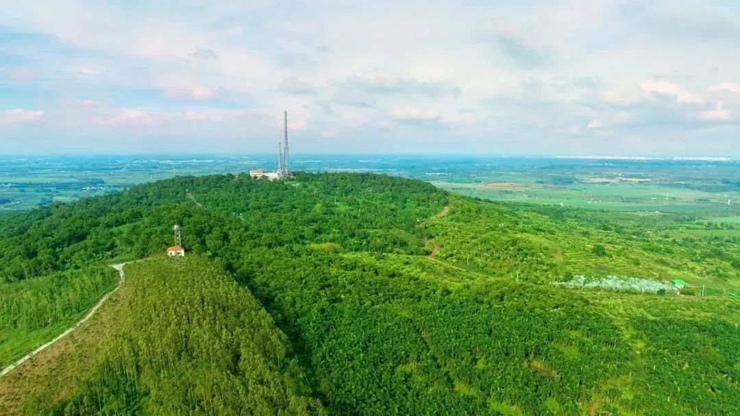 cq9电子大厅