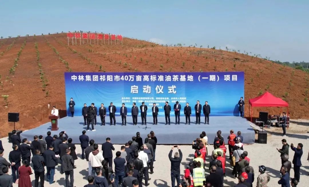 cq9电子大厅