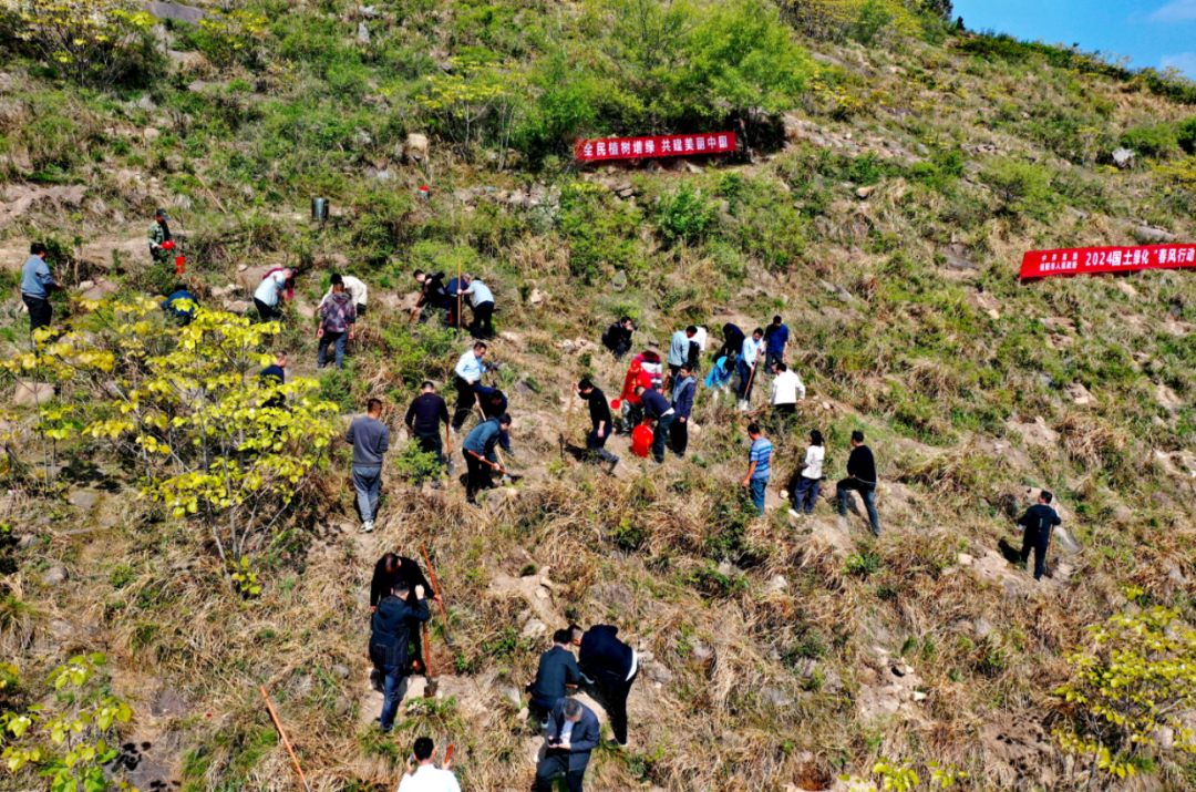 cq9电子大厅