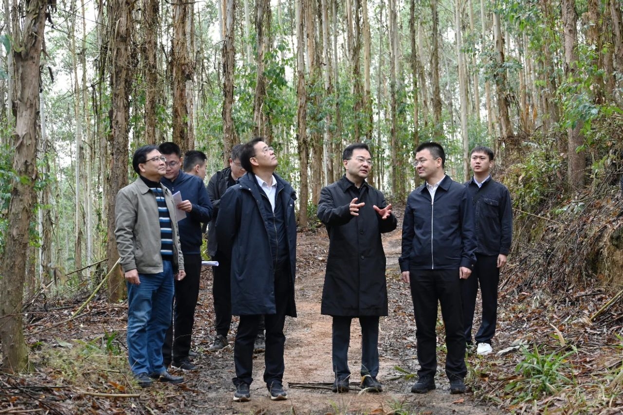 cq9电子大厅