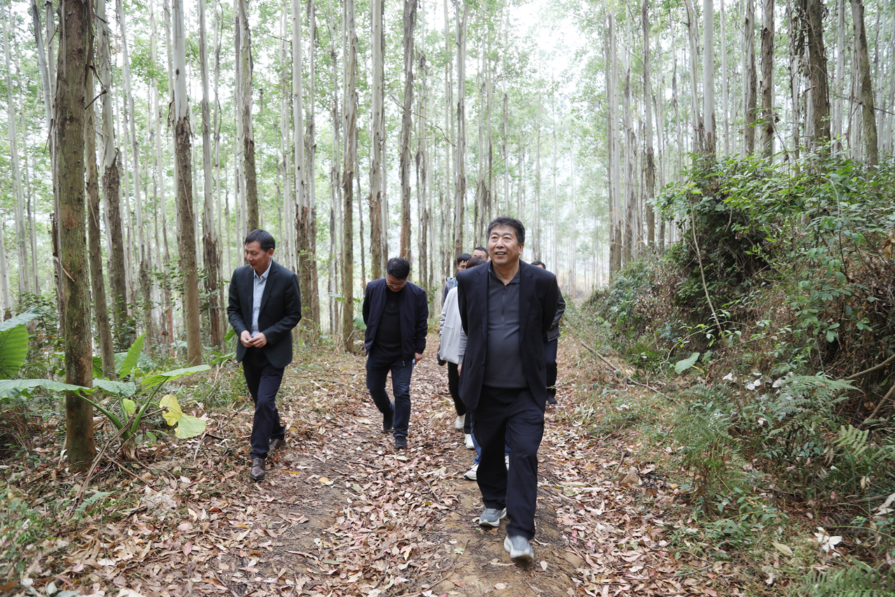 cq9电子大厅