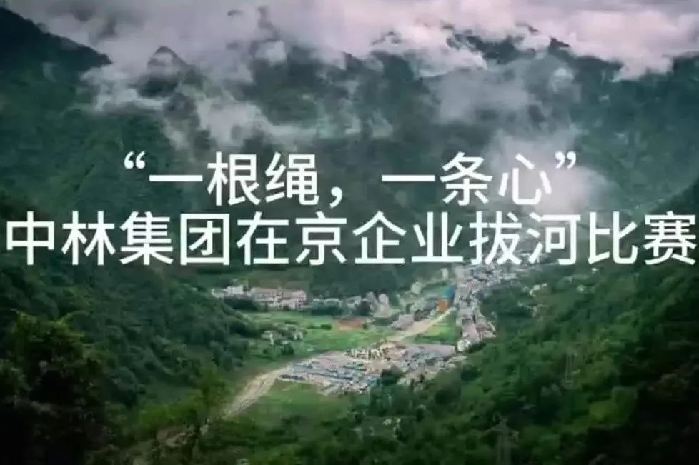 cq9电子大厅