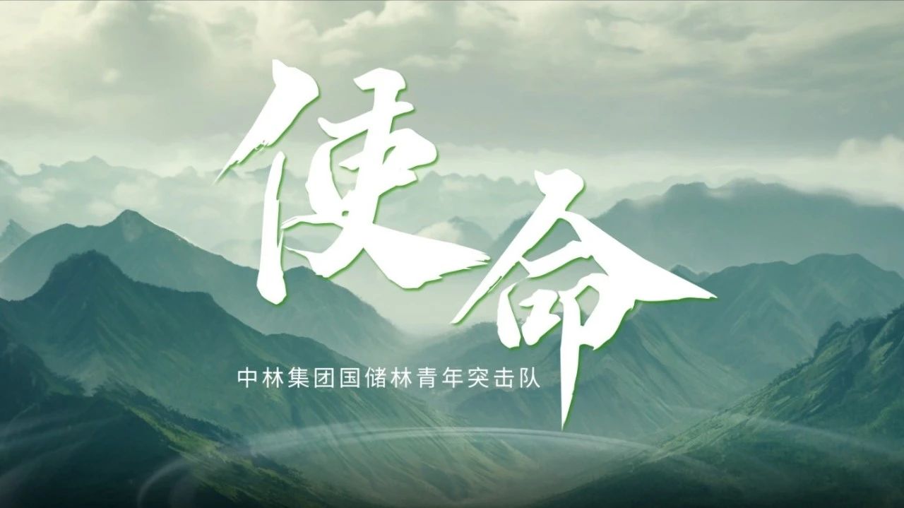 cq9电子大厅