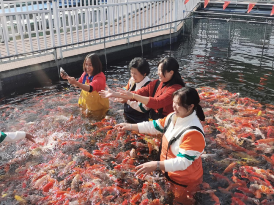 cq9电子大厅
