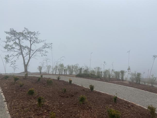 cq9电子大厅