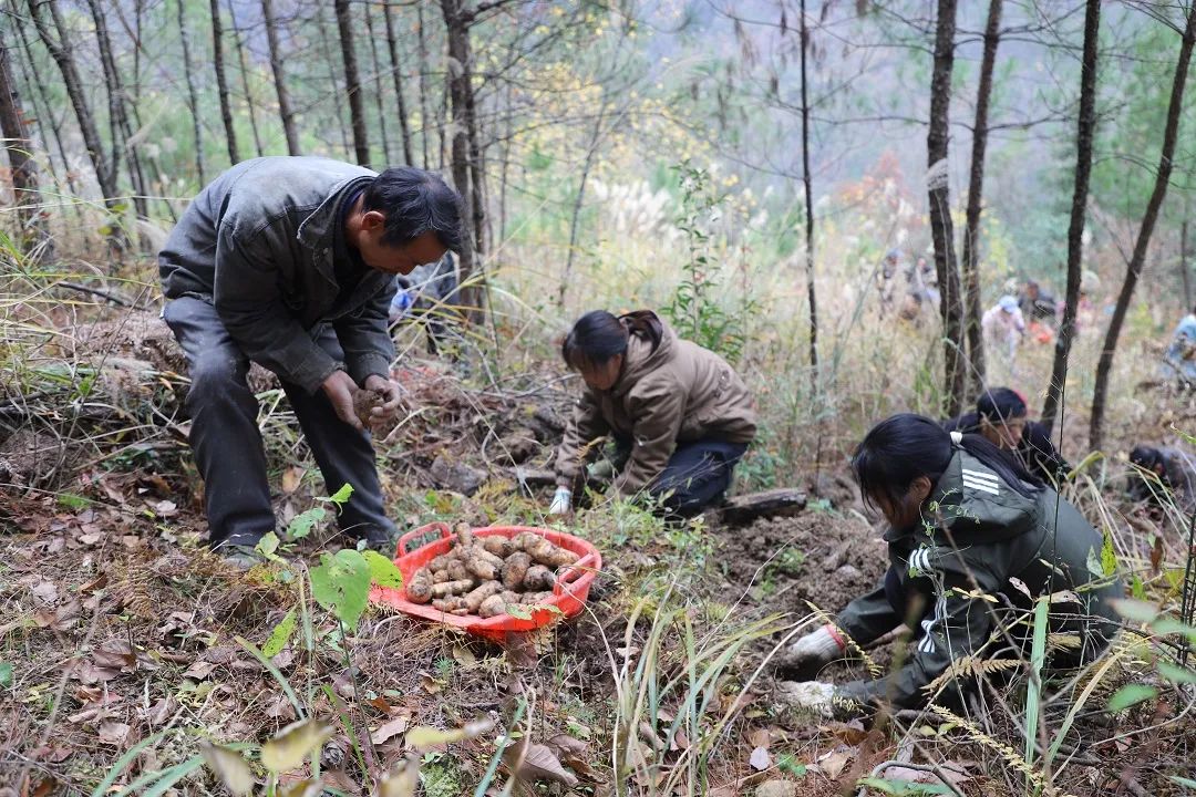 cq9电子大厅