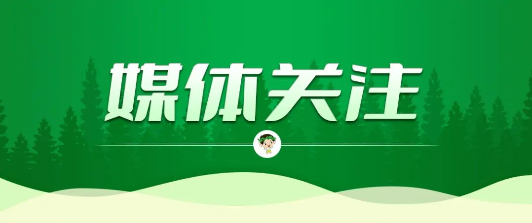 cq9电子大厅
