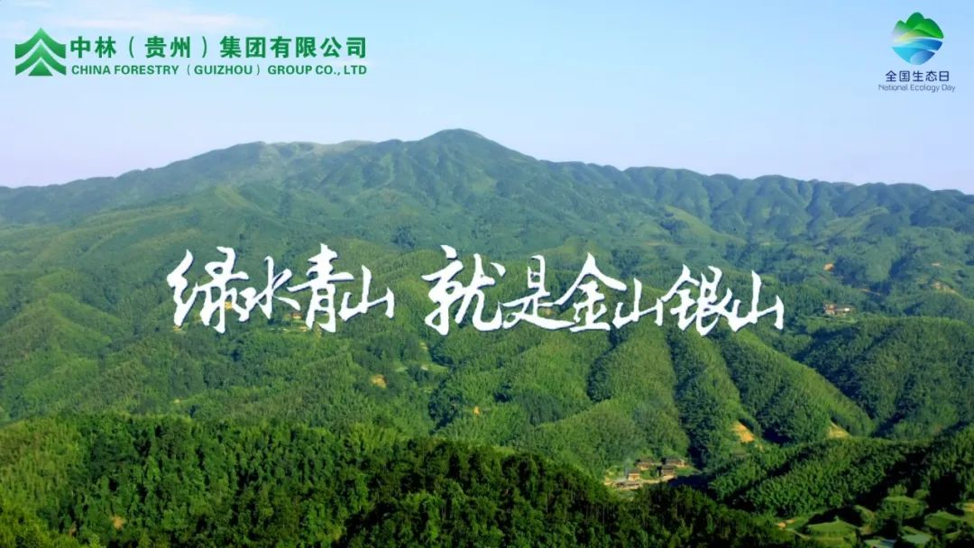 cq9电子大厅