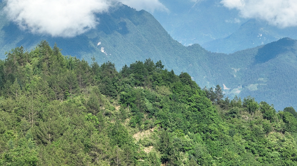 cq9电子大厅