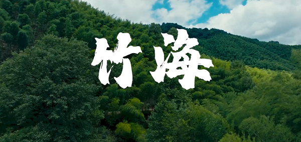 cq9电子大厅