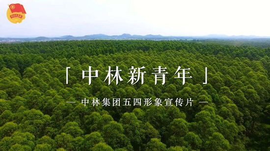 cq9电子大厅