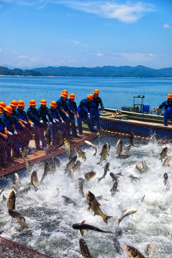 cq9电子大厅