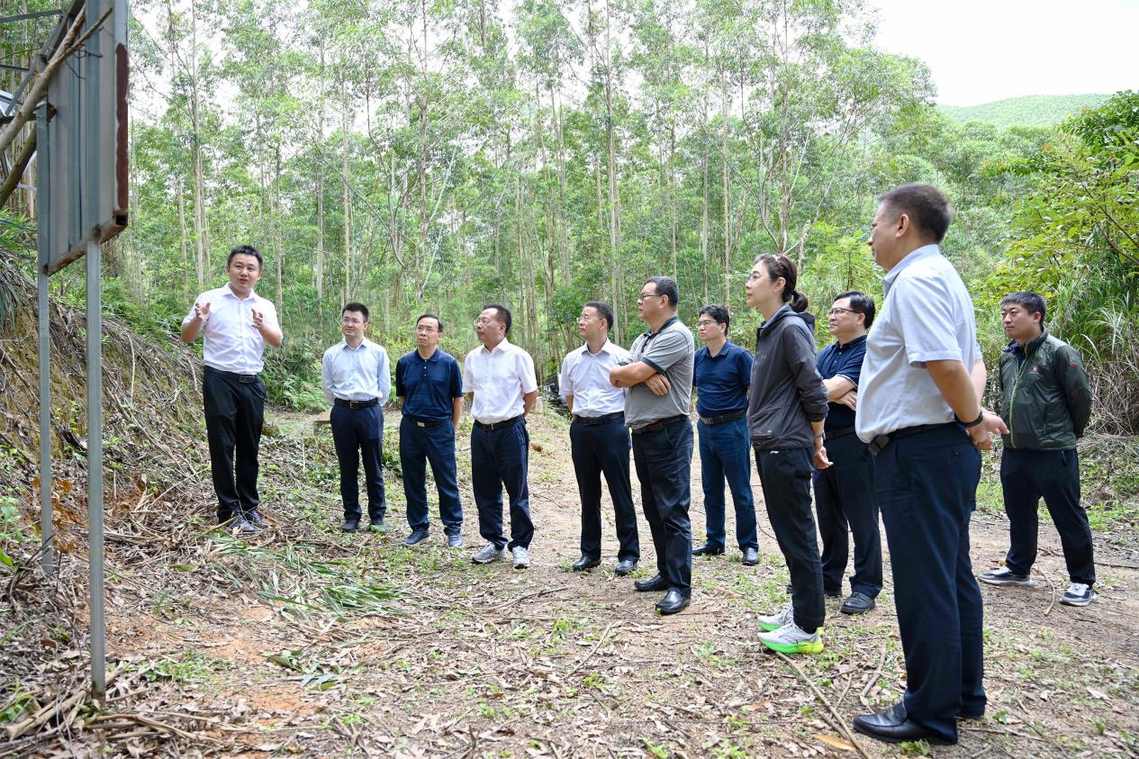 cq9电子大厅