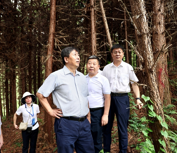 cq9电子大厅
