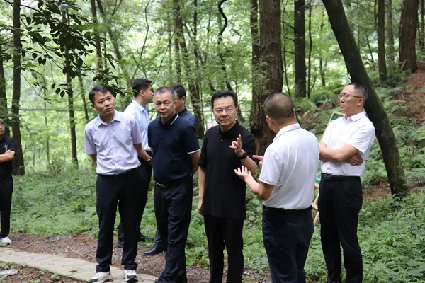 cq9电子大厅