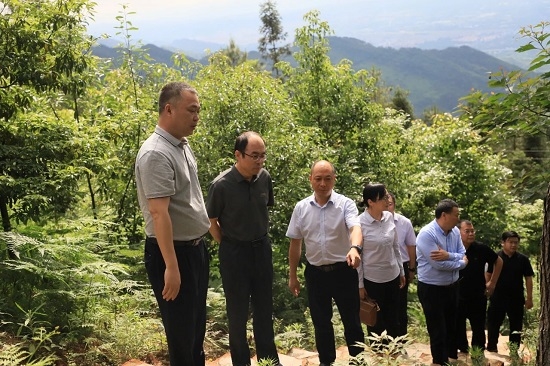 cq9电子大厅