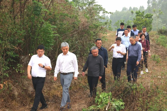 cq9电子大厅