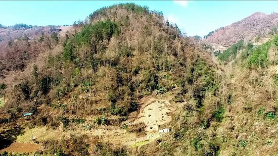 cq9电子大厅
