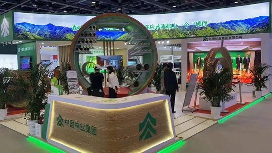 cq9电子大厅
