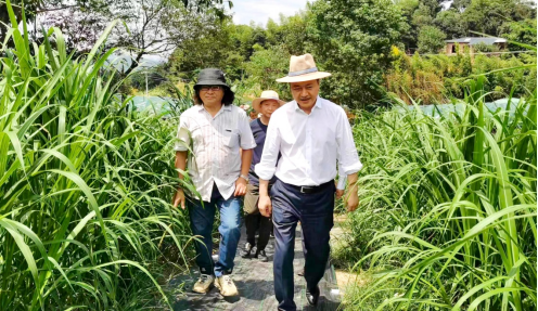 cq9电子大厅