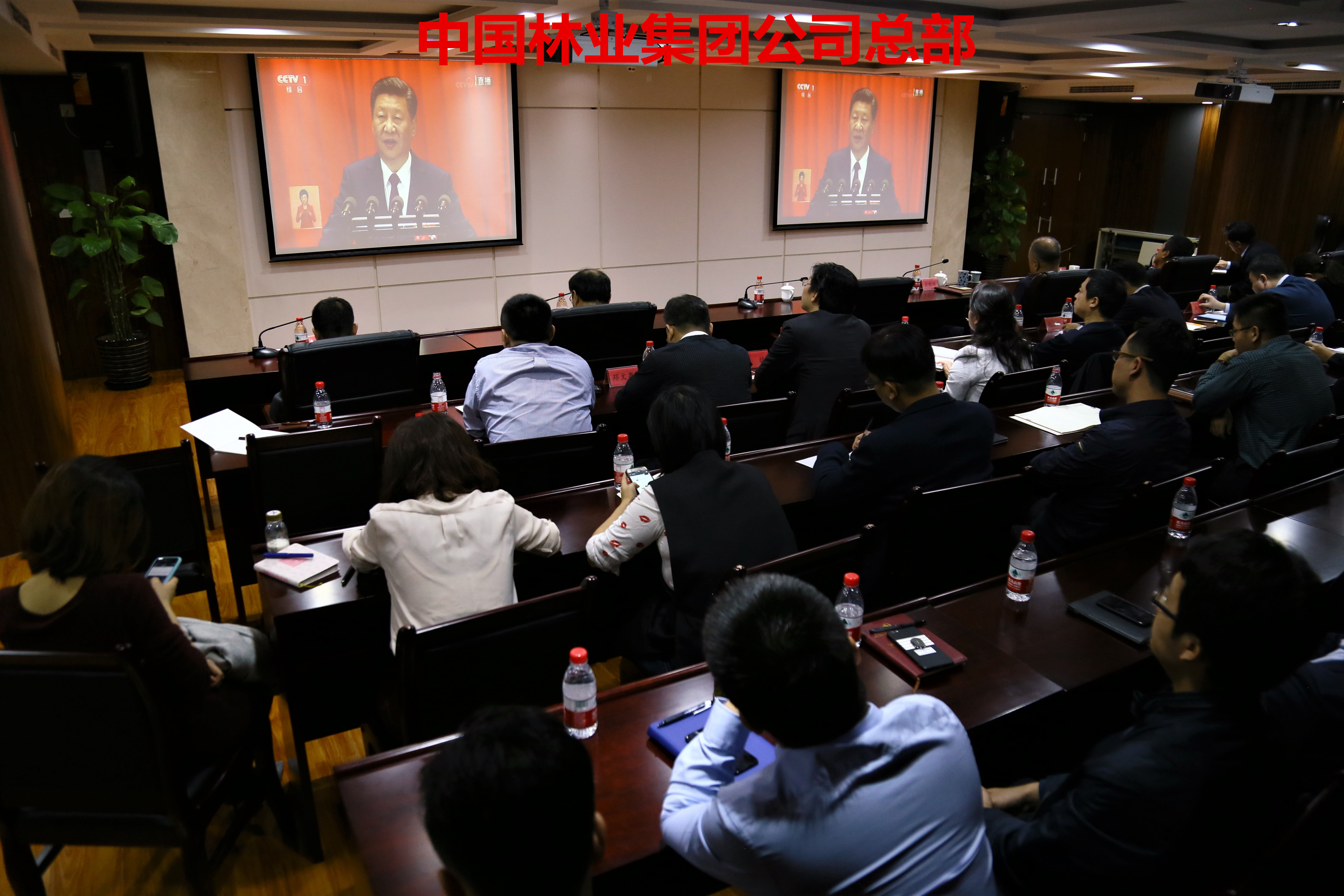 cq9电子大厅