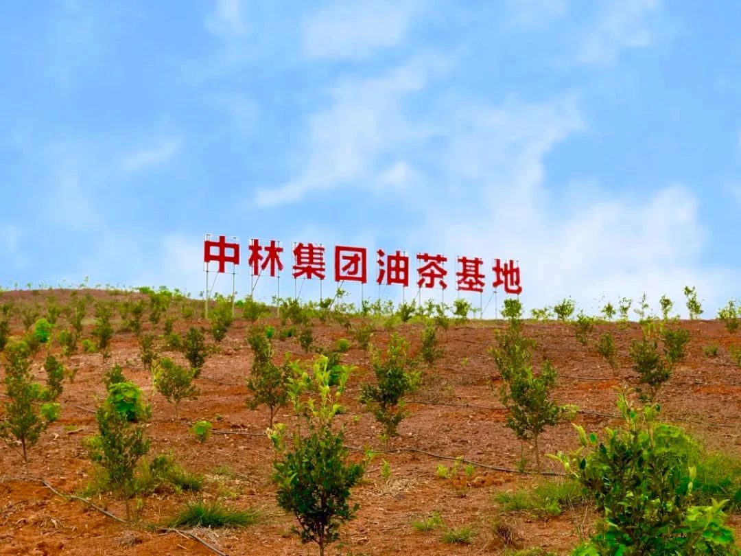 cq9电子大厅