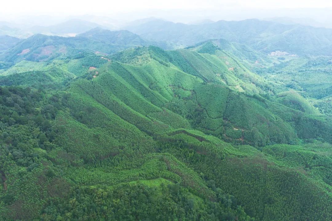 cq9电子大厅