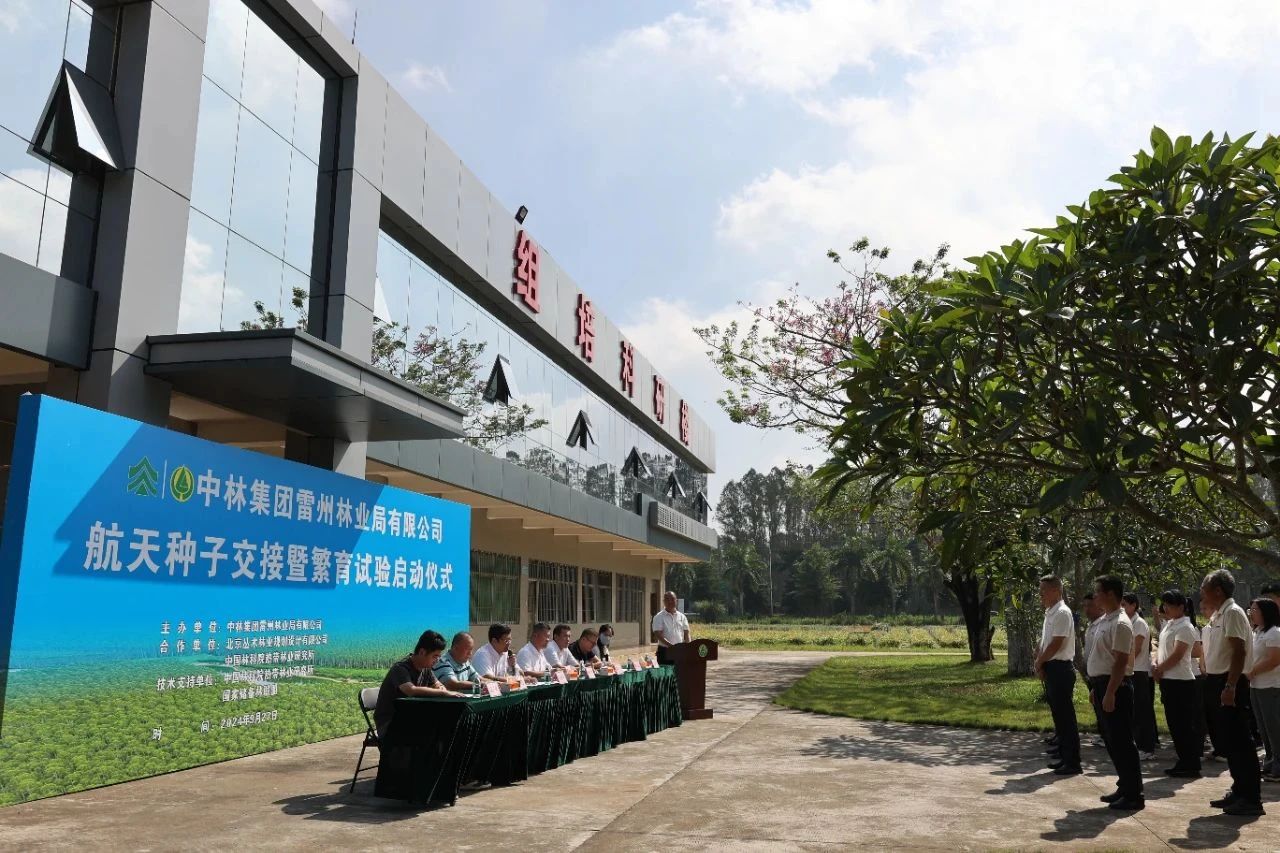 cq9电子大厅