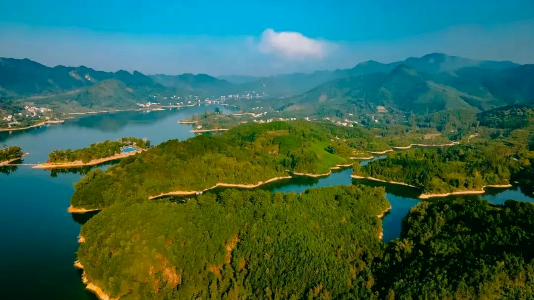 cq9电子大厅