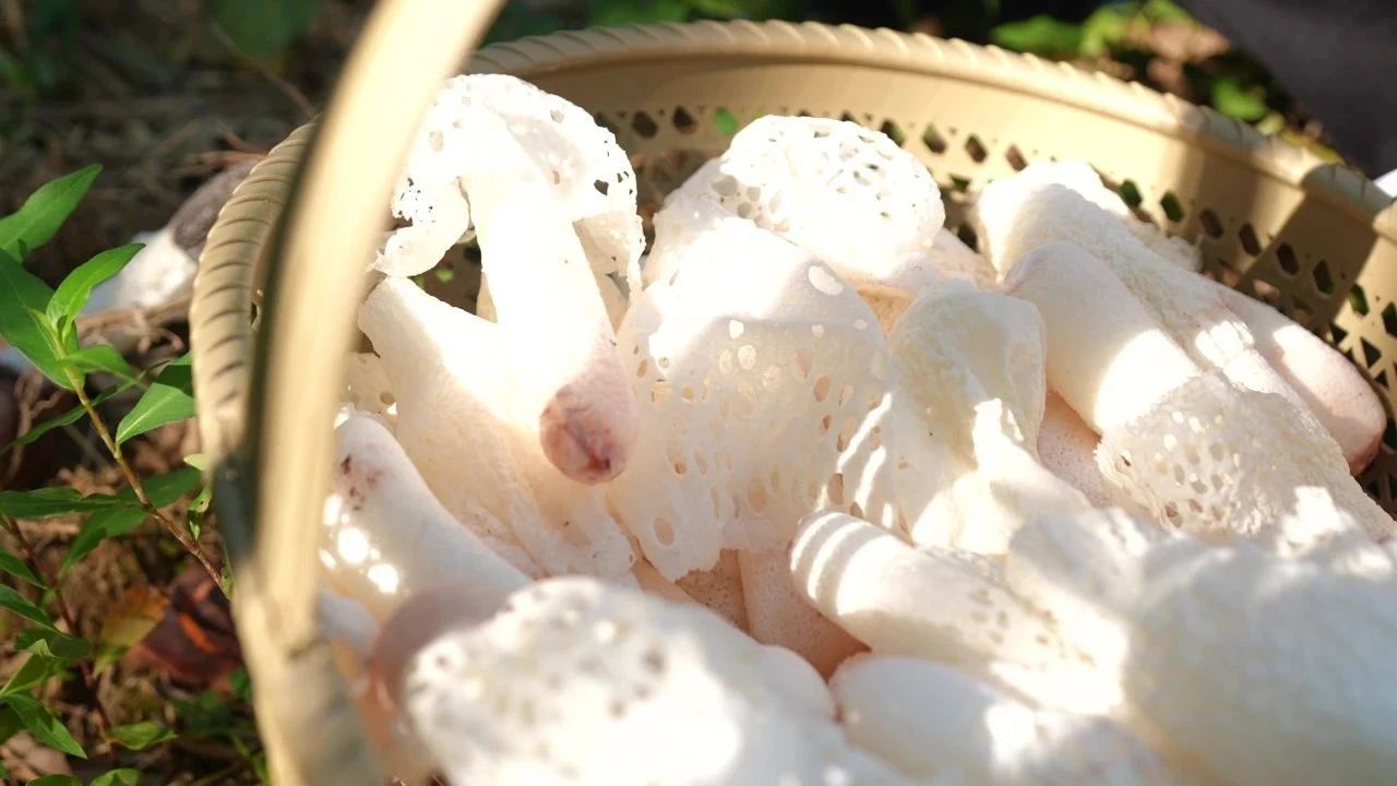 cq9电子大厅